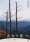 1998年　大台ケ原（秋）
