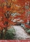 2004年　近鉄沿線紅葉のみどころ 室生寺