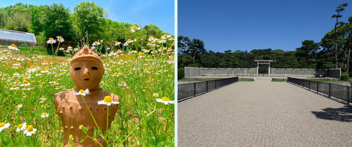 藤井寺・古市エリア