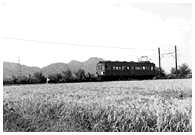 尺土～新庄間、飾り窓付モ5660 1958（昭和33）年10月28日、後ろは二上山
